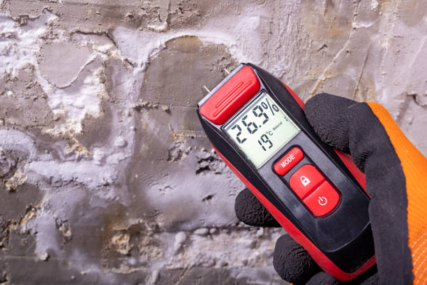 Best Professional Mold Removal  in Oakland Park, FL