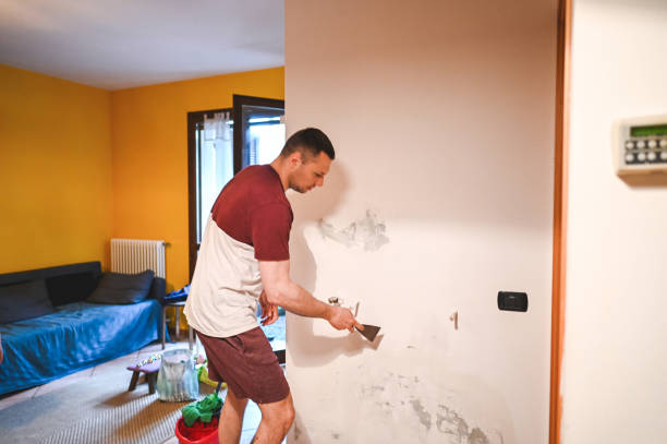 Best Commercial Mold Removal  in Oakland Park, FL